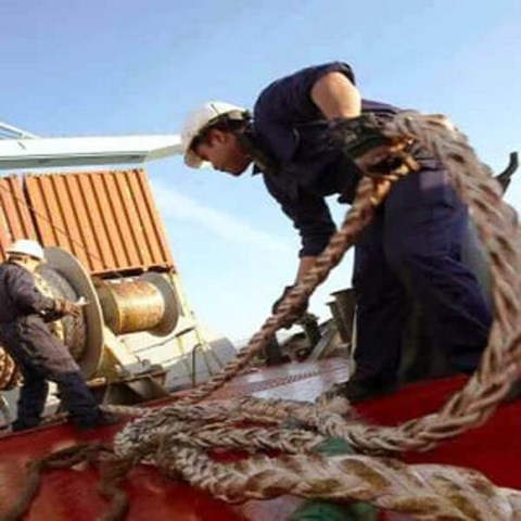 Click to see our services Services